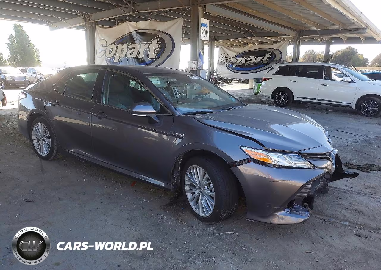 2020 Toyota Camry Xle VIN:4T1F31AK3LU525814 - 4