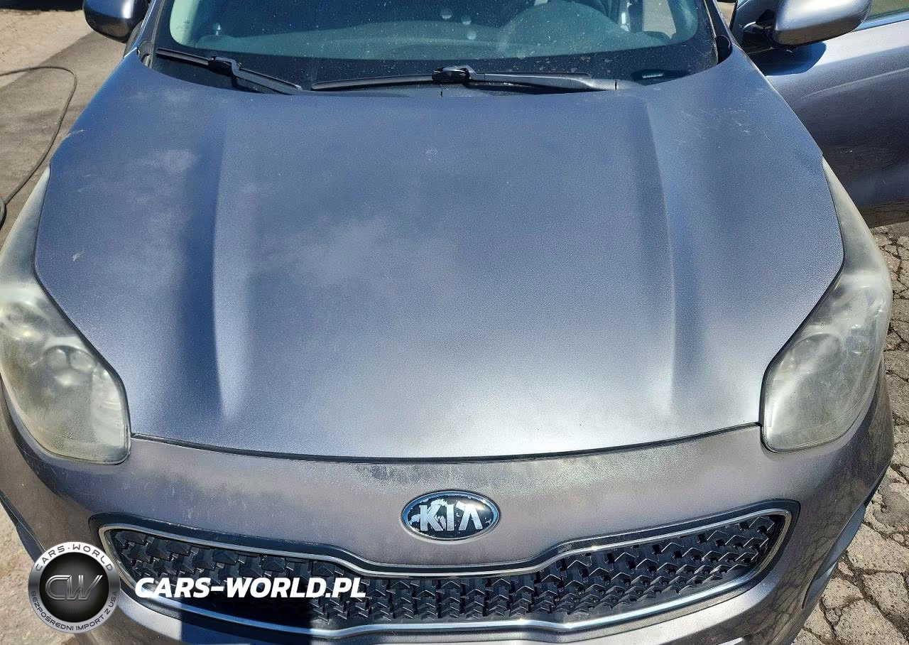 2017 Kia Sportage Lx VIN:KNDPM3AC8H7208921 - 12