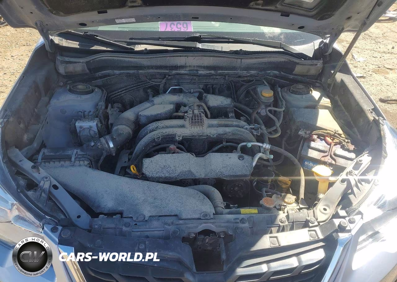 2017 Subaru Forester 2.5I Premium VIN:JF2SJAEC6HH450216 - 12