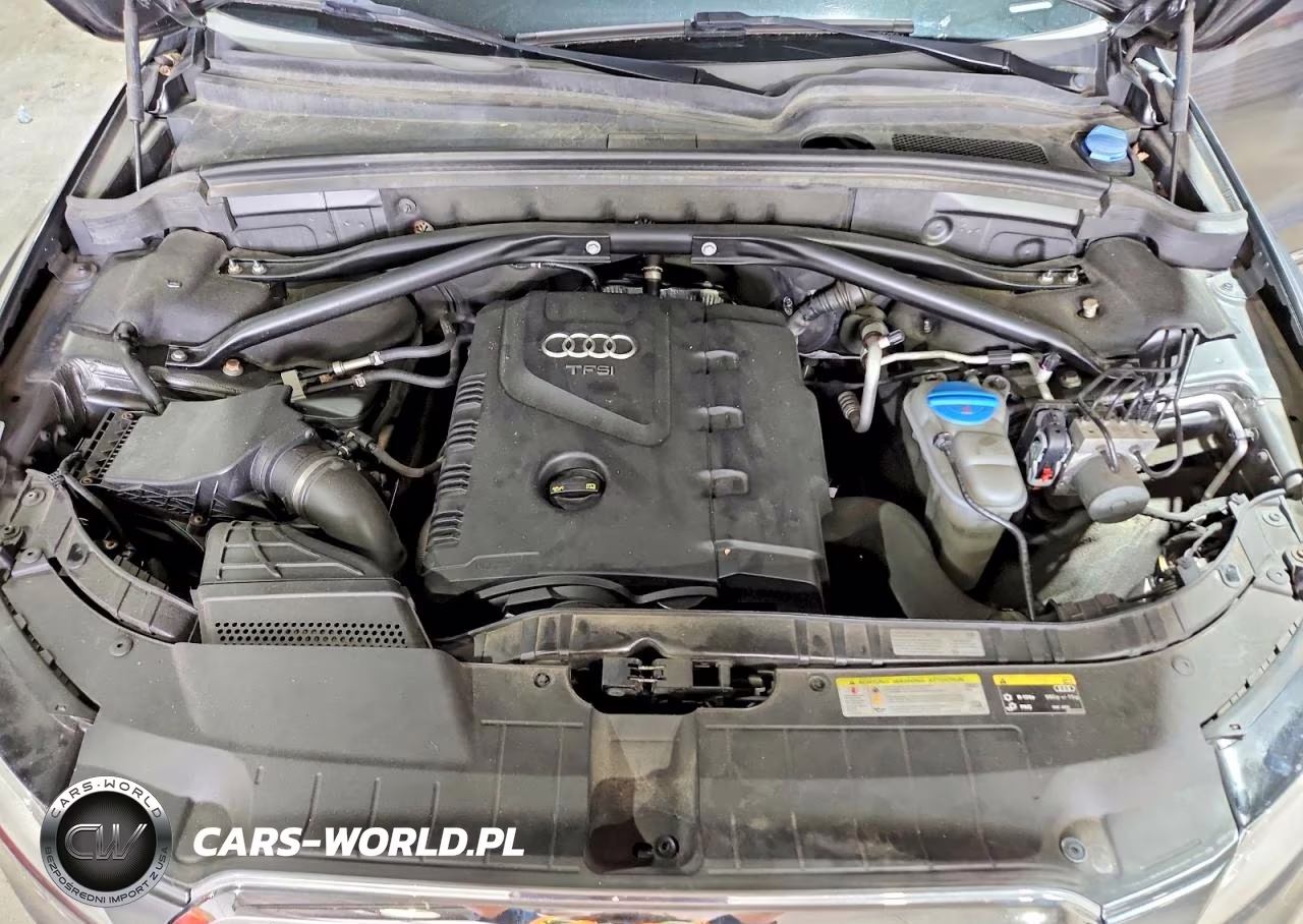 2016 Audi Q5 Premium Plus VIN:WA1L2AFP6GA146824 - 11