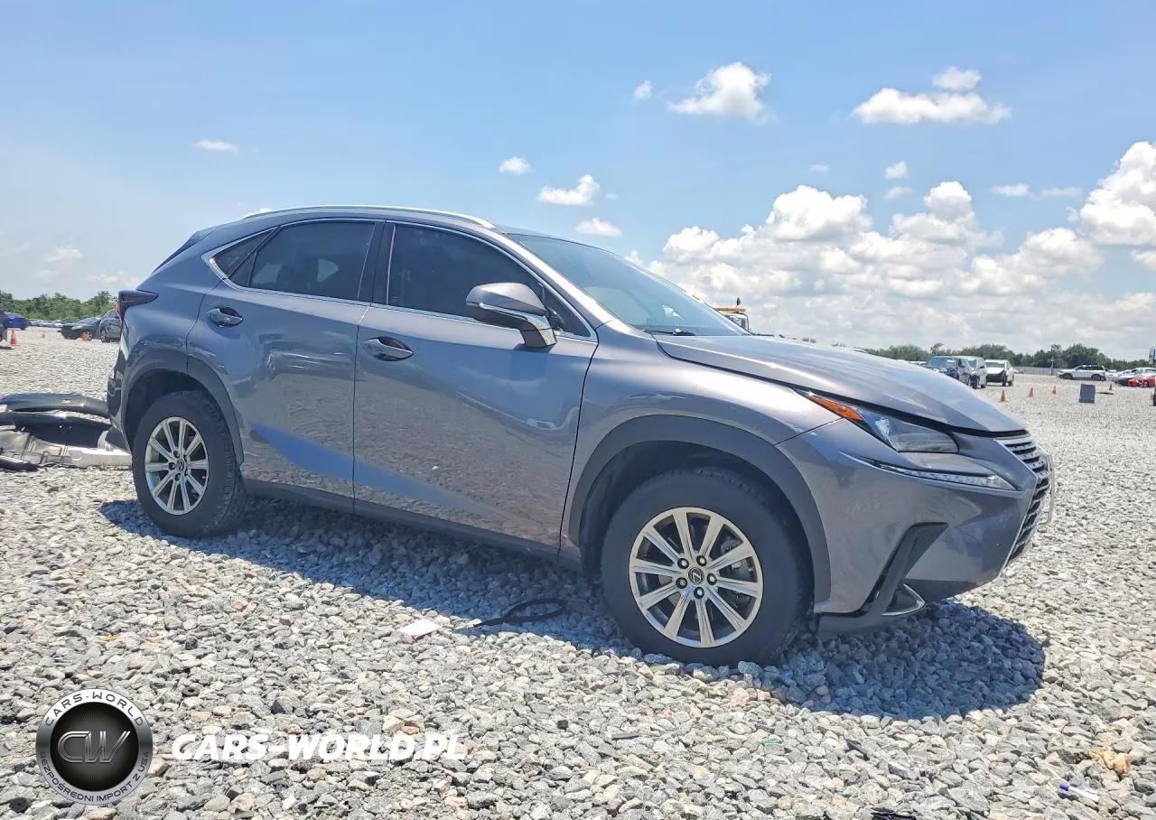 2021 Lexus Nx 300 Base VIN:JTJDARBZ5M2197253 - 4