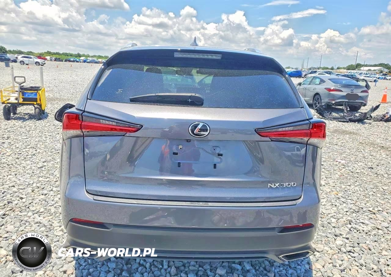 2021 Lexus Nx 300 Base VIN:JTJDARBZ5M2197253 - 6