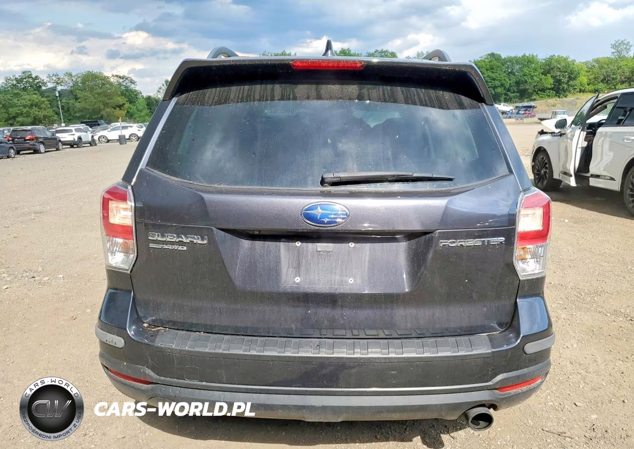 2017 Subaru Forester 2.5I Premium VIN:JF2SJAEC8HH455790 - 6