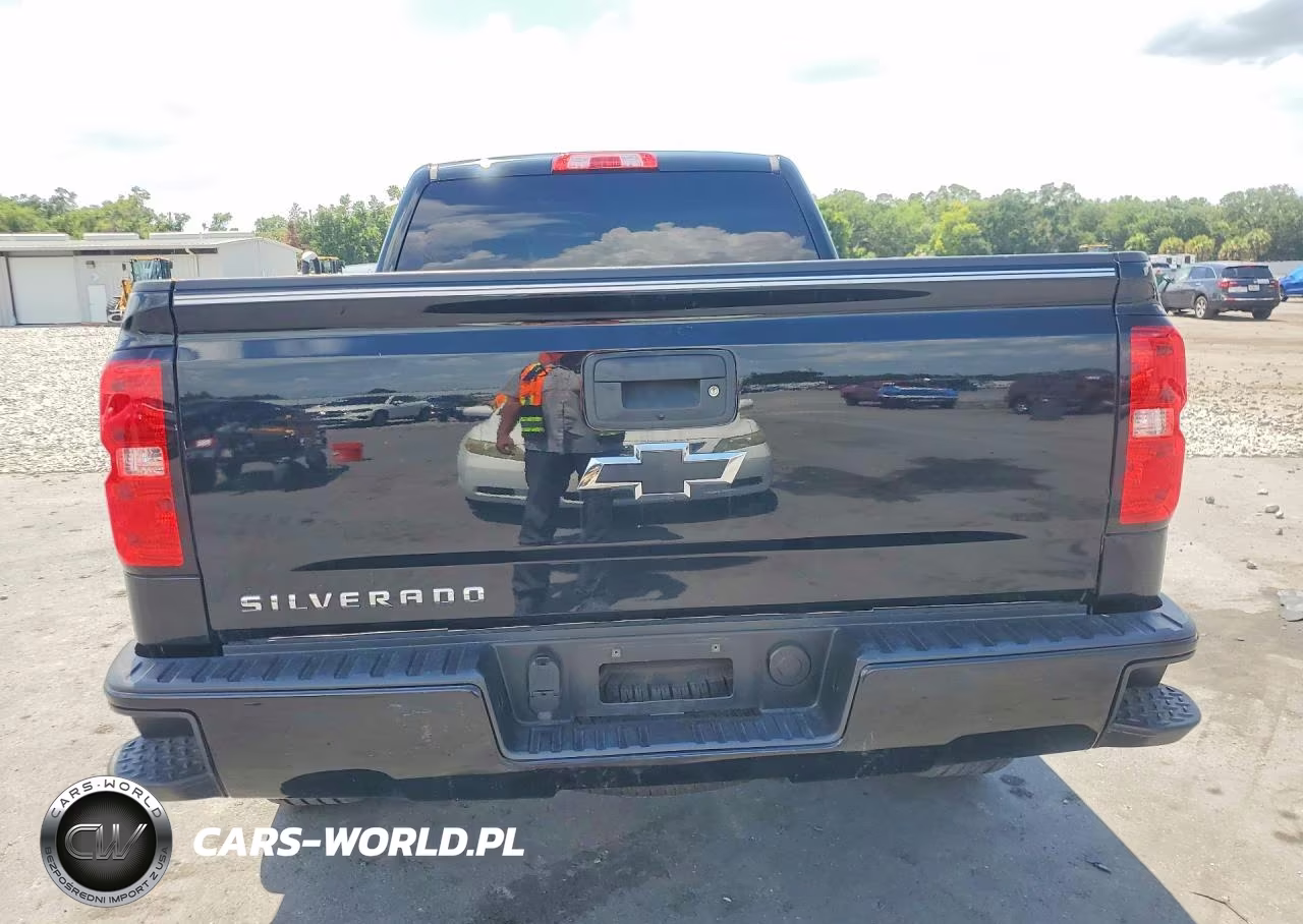 2018 Chevrolet Silverado C1500 Custom VIN:1GCRCPEC7JZ256224 - 6