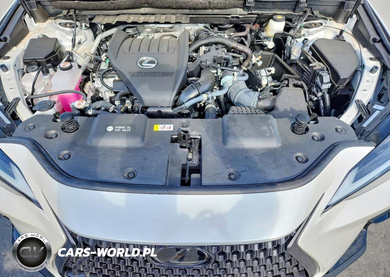 2025 Lexus Nx 350 Premium VIN:2T2GGCEZ8SC088304 - 12