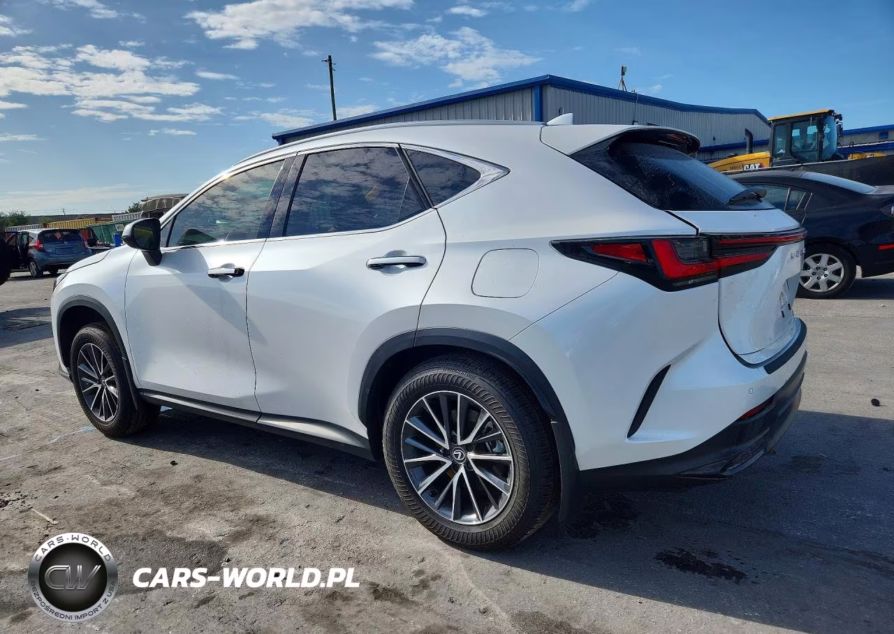 2025 Lexus Nx 350 Premium VIN:2T2GGCEZ8SC088304 - 2