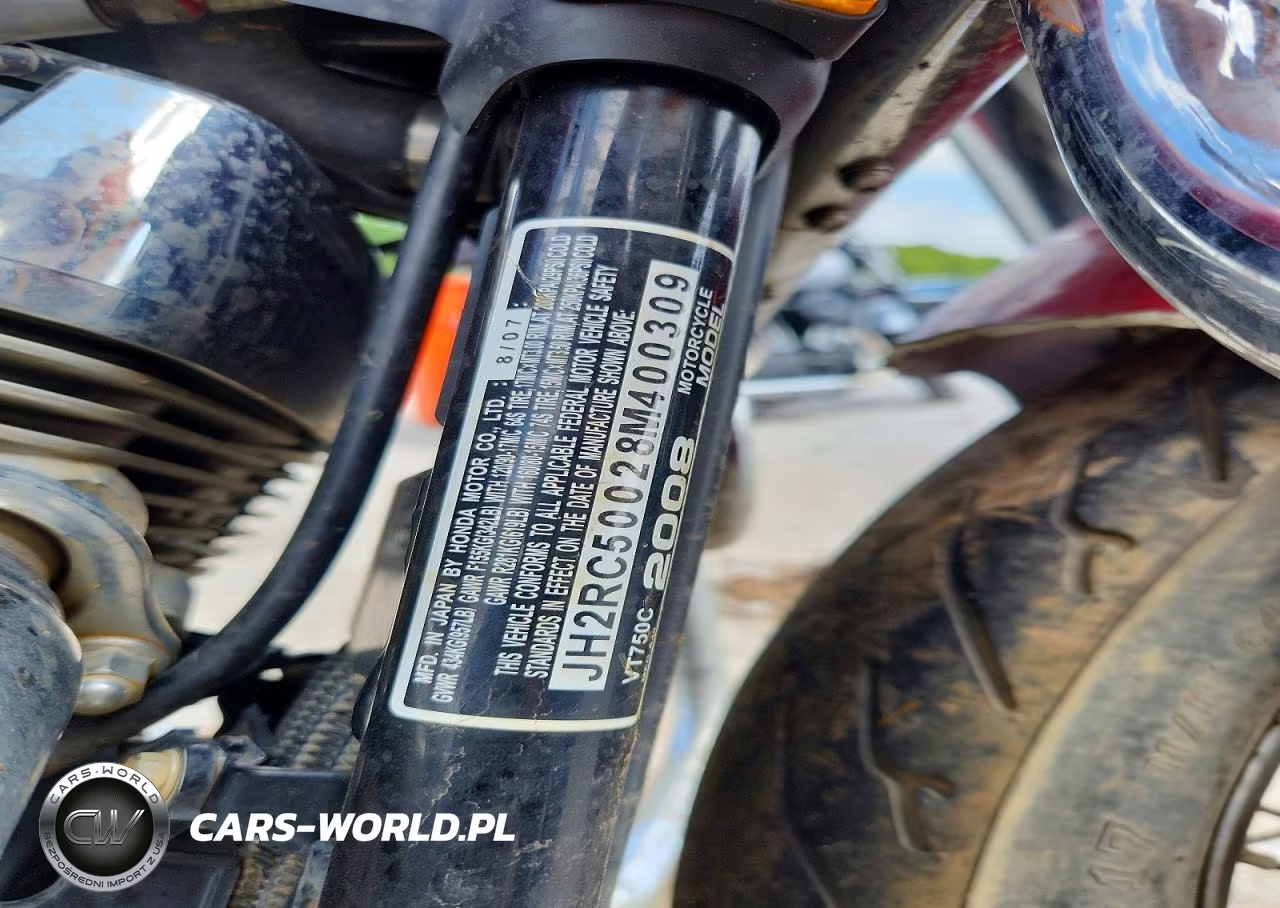 2008 Honda Vt750 C VIN:JH2RC50028M400309 - 10