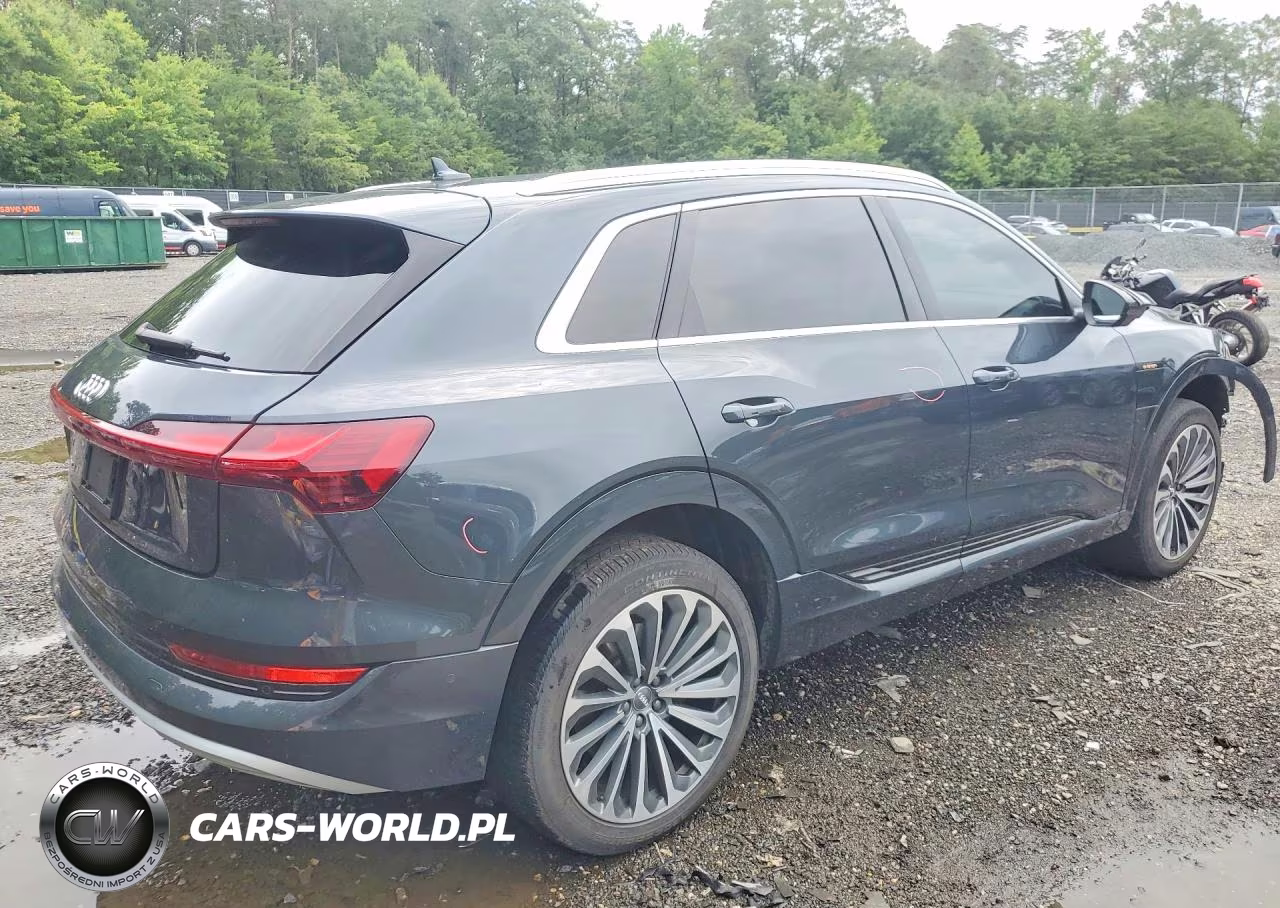 2019 Audi E-Tron Prestige VIN:WA1VAAGE8KB011341 - 3