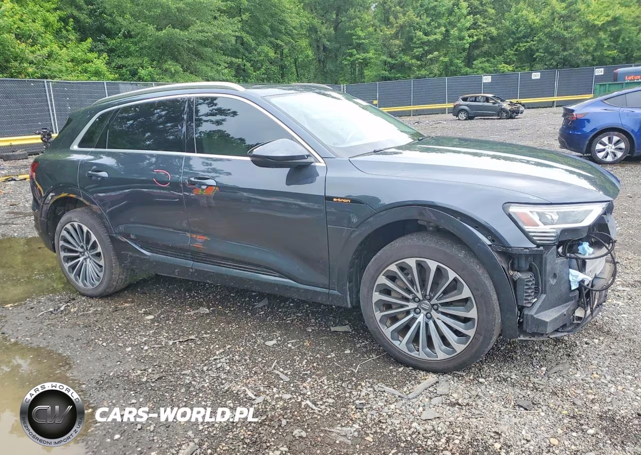 2019 Audi E-Tron Prestige VIN:WA1VAAGE8KB011341 - 4