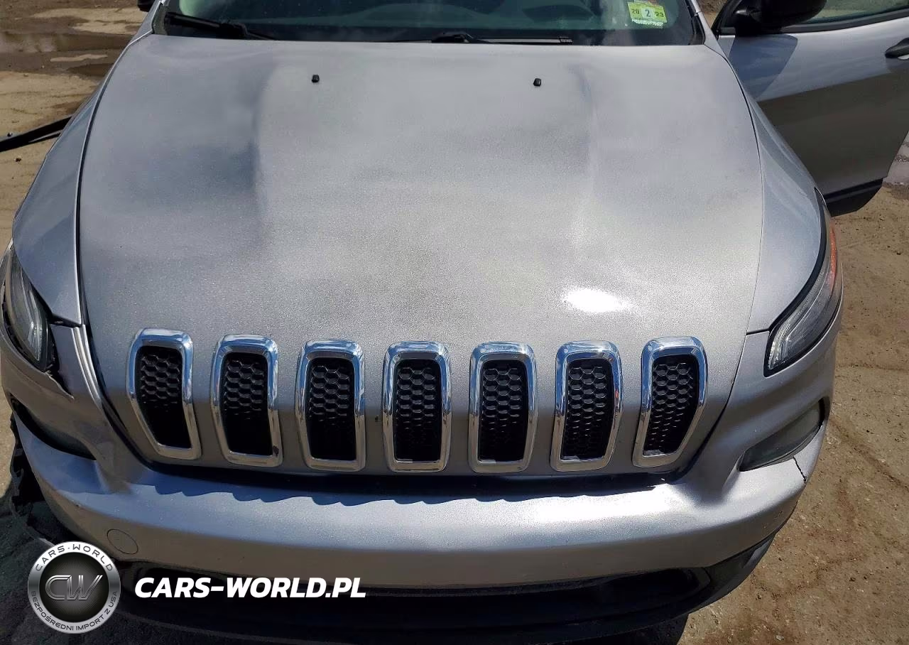 2014 Jeep Cherokee Sport VIN:1C4PJLAB7EW181096 - 12