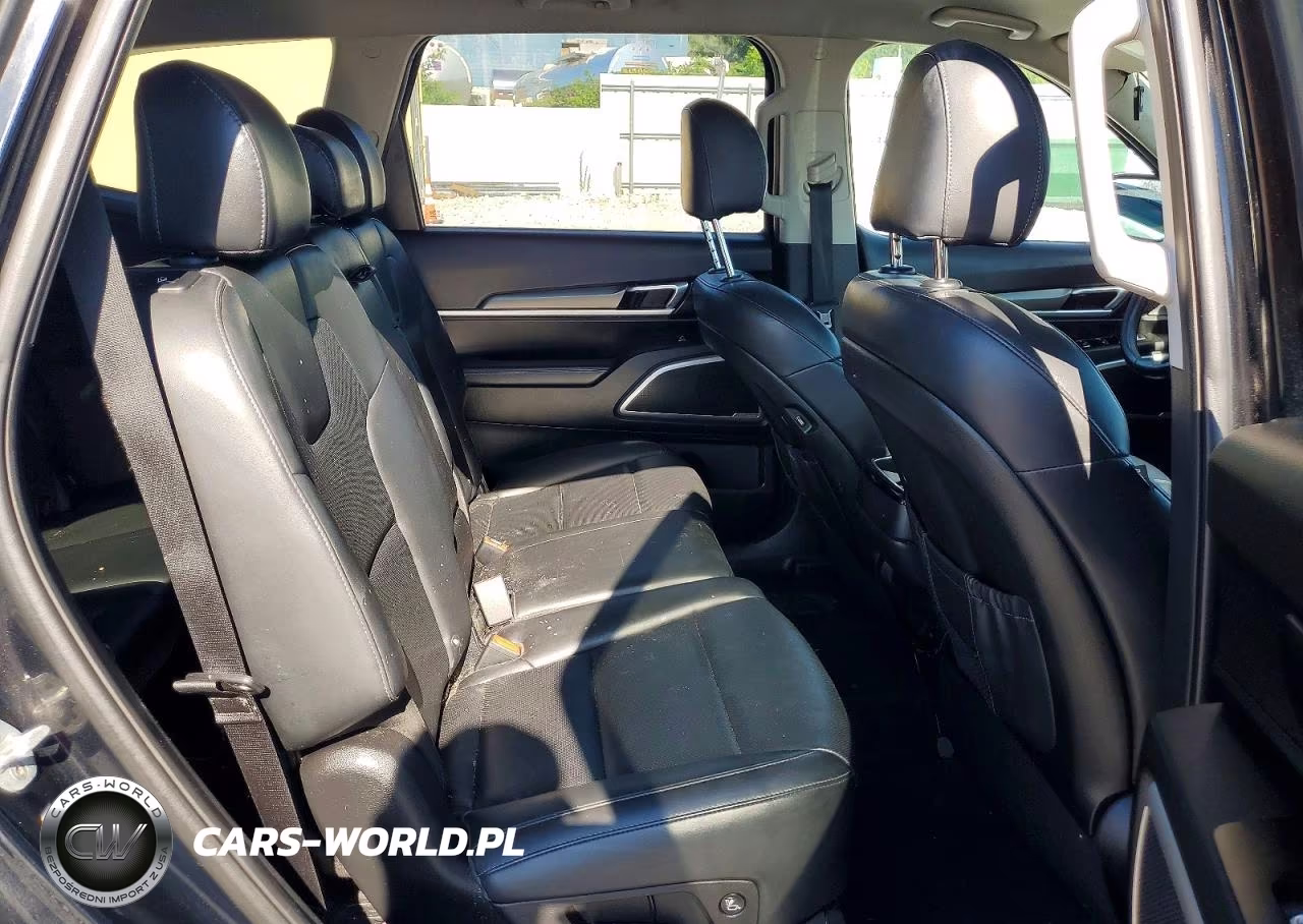 2020 Kia Telluride Lx VIN:5XYP2DHC9LG058671 - 11