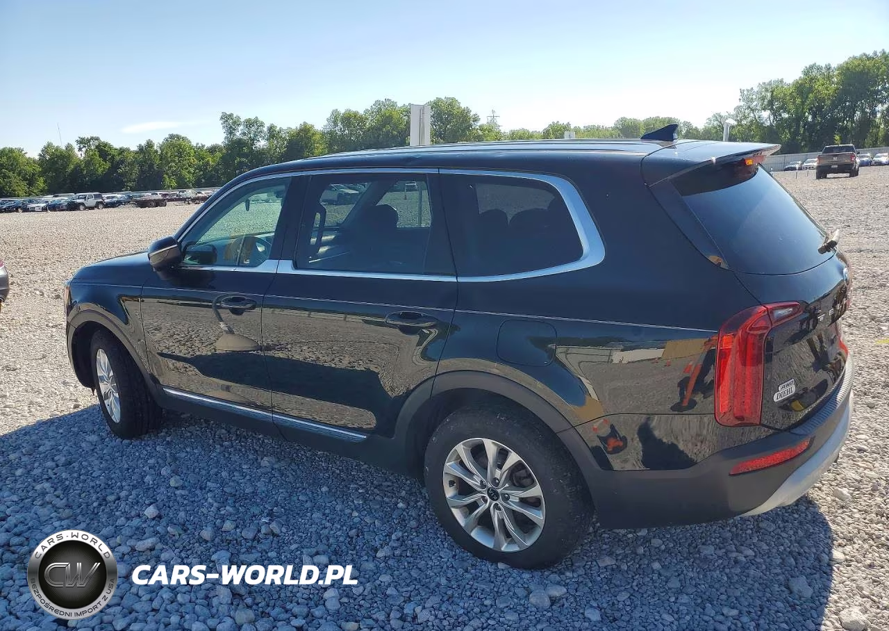 2020 Kia Telluride Lx VIN:5XYP2DHC9LG058671 - 2