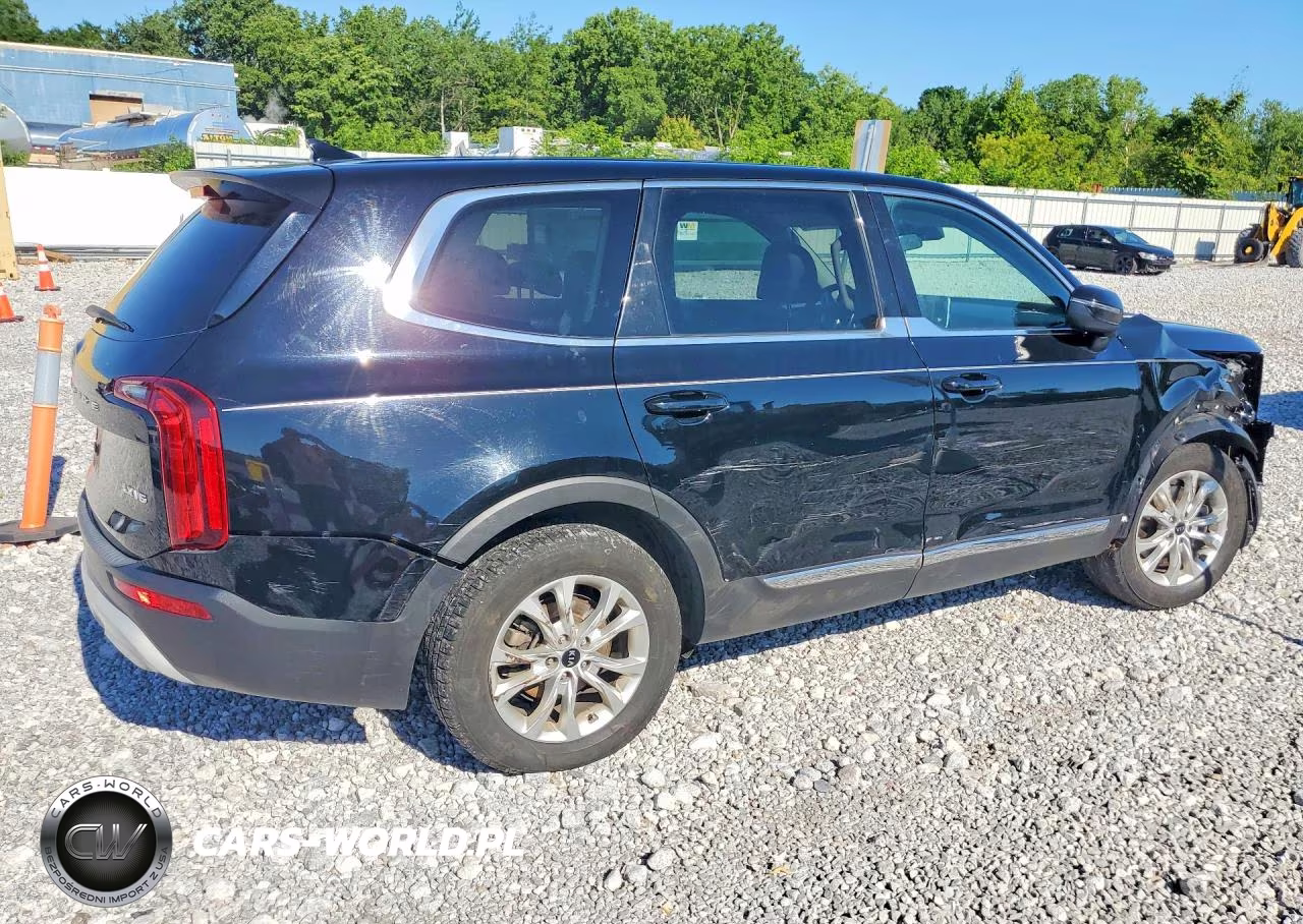 2020 Kia Telluride Lx VIN:5XYP2DHC9LG058671 - 3