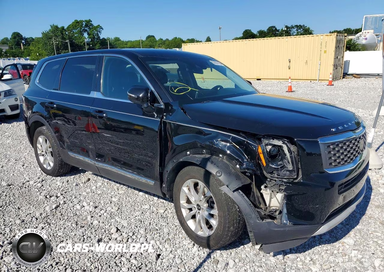 2020 Kia Telluride Lx VIN:5XYP2DHC9LG058671 - 4