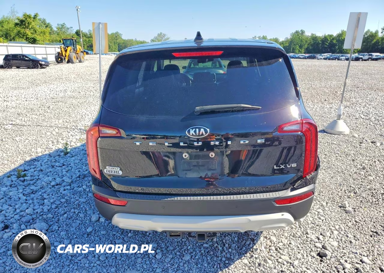 2020 Kia Telluride Lx VIN:5XYP2DHC9LG058671 - 6