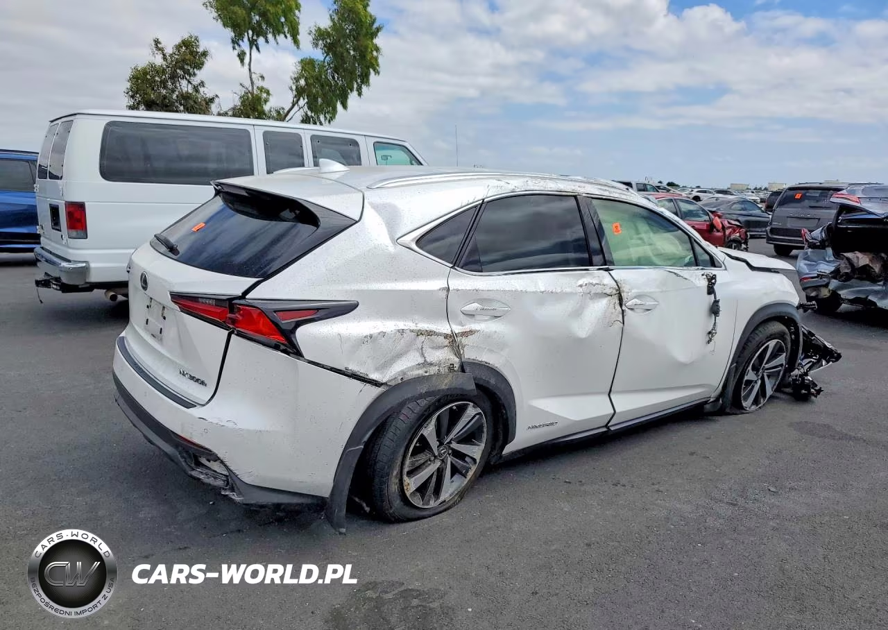2020 Lexus Nx 300H VIN:JTJGJRDZ4L2144956 - 3