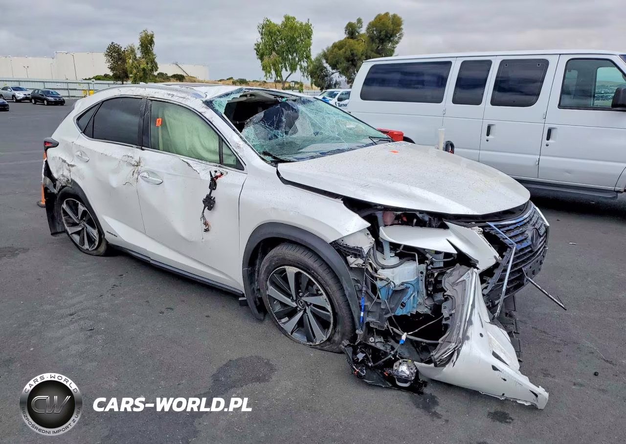 2020 Lexus Nx 300H VIN:JTJGJRDZ4L2144956 - 4