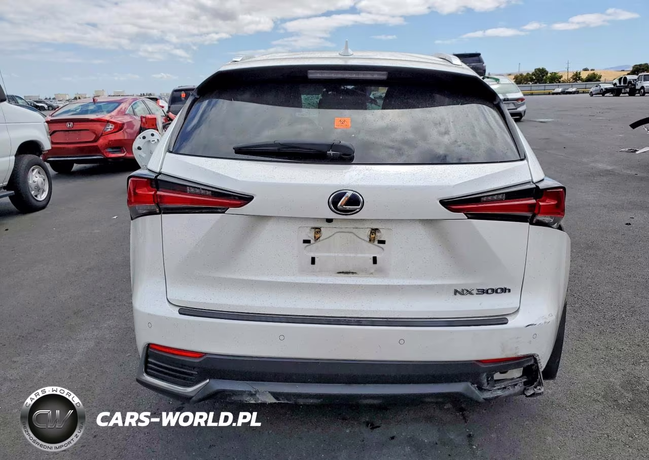 2020 Lexus Nx 300H VIN:JTJGJRDZ4L2144956 - 6