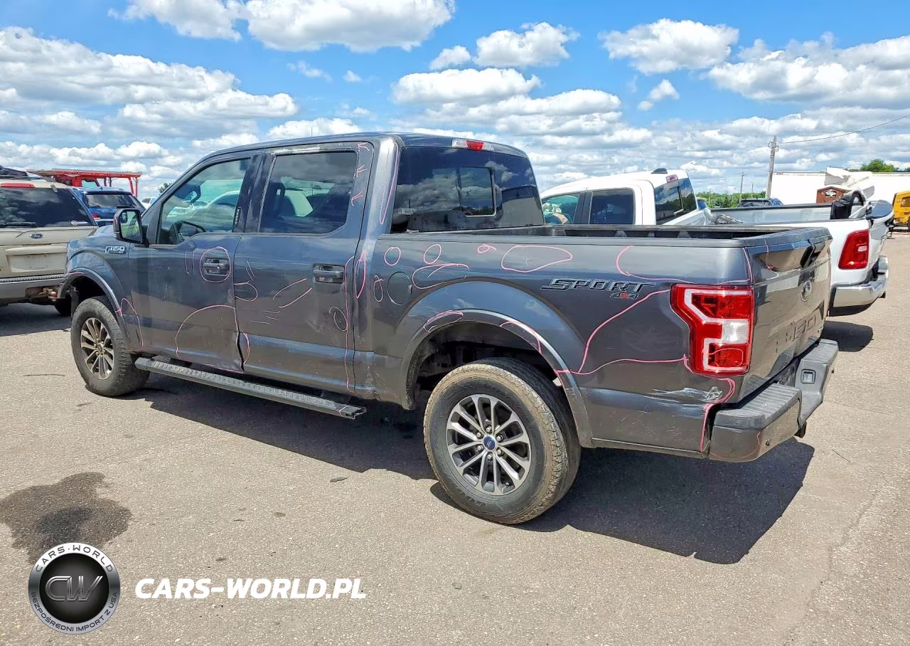 2019 Ford F150 Supercrew VIN:1FTEW1EP7KFD46031 - 2