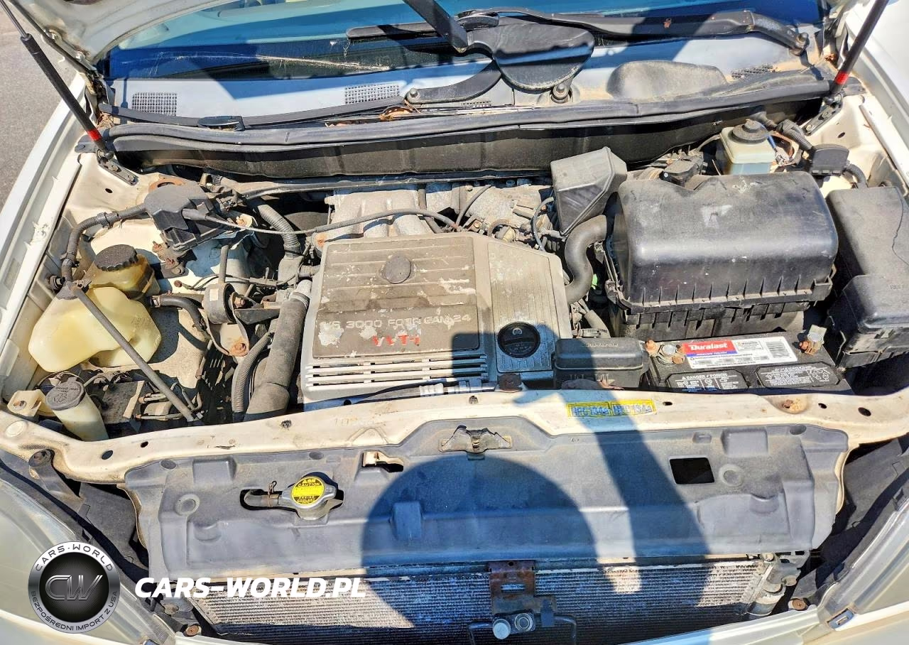 1999 Lexus Rx 300 VIN:JT6HF10U0X0094876 - 12
