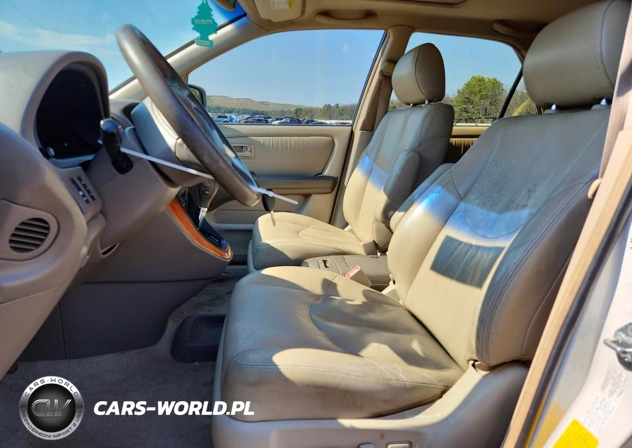 1999 Lexus Rx 300 VIN:JT6HF10U0X0094876 - 7