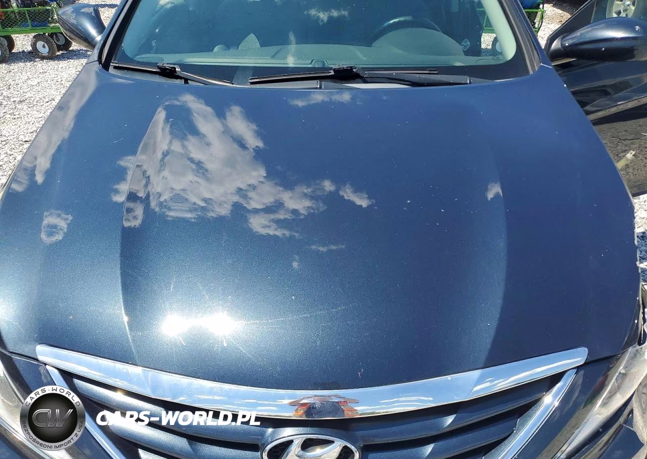 2011 Hyundai Sonata Gls VIN:5NPEB4AC7BH020557 - 11