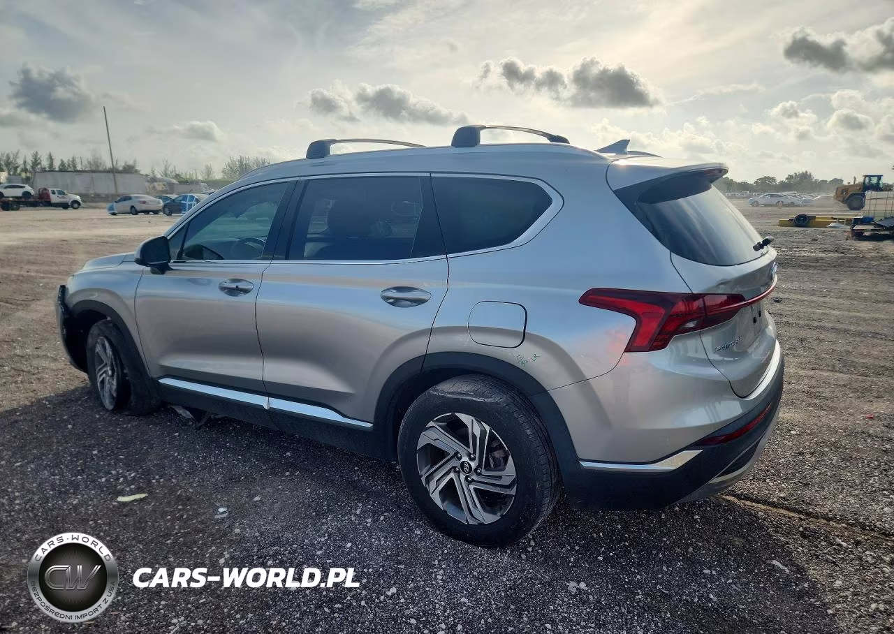 2022 Hyundai Santa Fe Sel VIN:5NMS24AJXNH473901 - 2