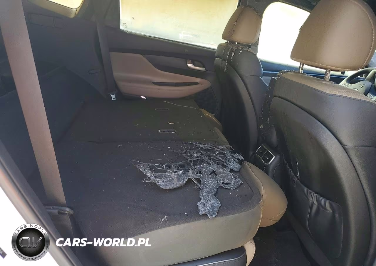 2023 Hyundai Santa Fe Limited VIN:5NMS5DA13PH013344 - 11