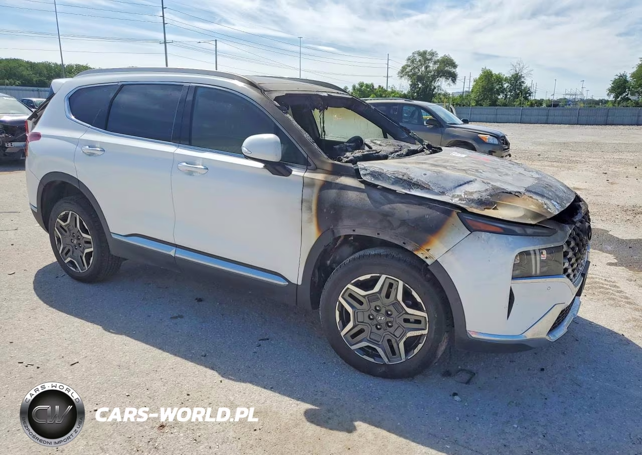 2023 Hyundai Santa Fe Limited VIN:5NMS5DA13PH013344 - 4