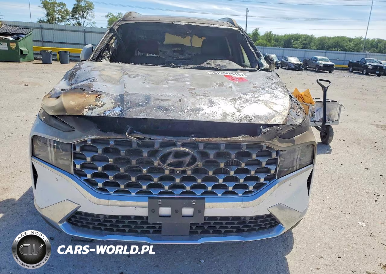 2023 Hyundai Santa Fe Limited VIN:5NMS5DA13PH013344 - 5