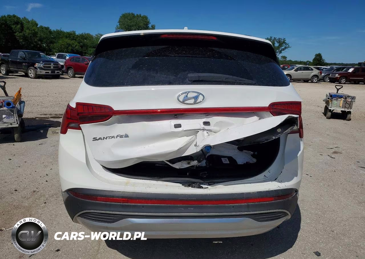 2023 Hyundai Santa Fe Limited VIN:5NMS5DA13PH013344 - 6