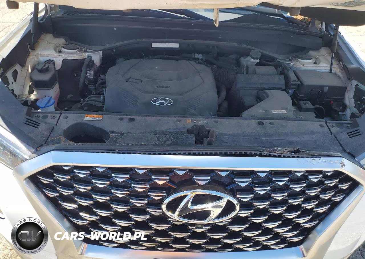 2021 Hyundai Palisade Calligraphy VIN:KM8R7DHE4MU230581 - 12