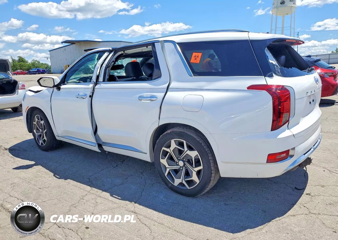 2021 Hyundai Palisade Calligraphy VIN:KM8R7DHE4MU230581 - 2