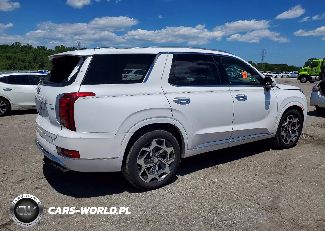 2021 Hyundai Palisade Calligraphy VIN:KM8R7DHE4MU230581 - 3