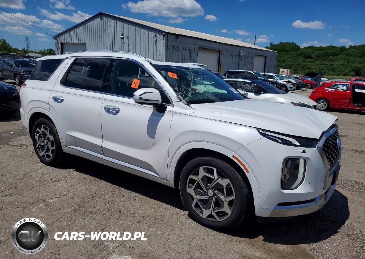2021 Hyundai Palisade Calligraphy VIN:KM8R7DHE4MU230581 - 4