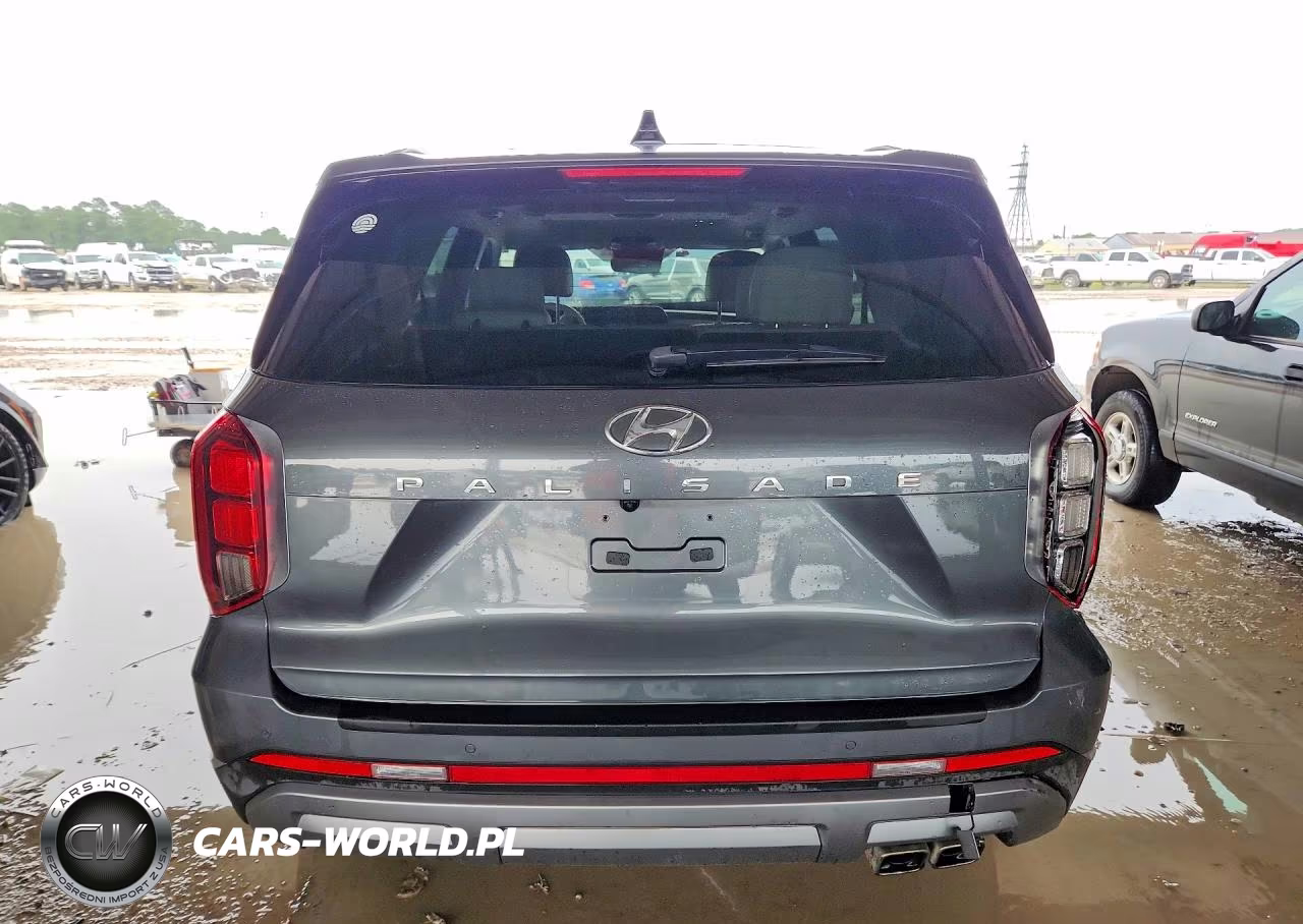 2024 Hyundai Palisade Limited VIN:KM8R54GE1RU688254 - 6
