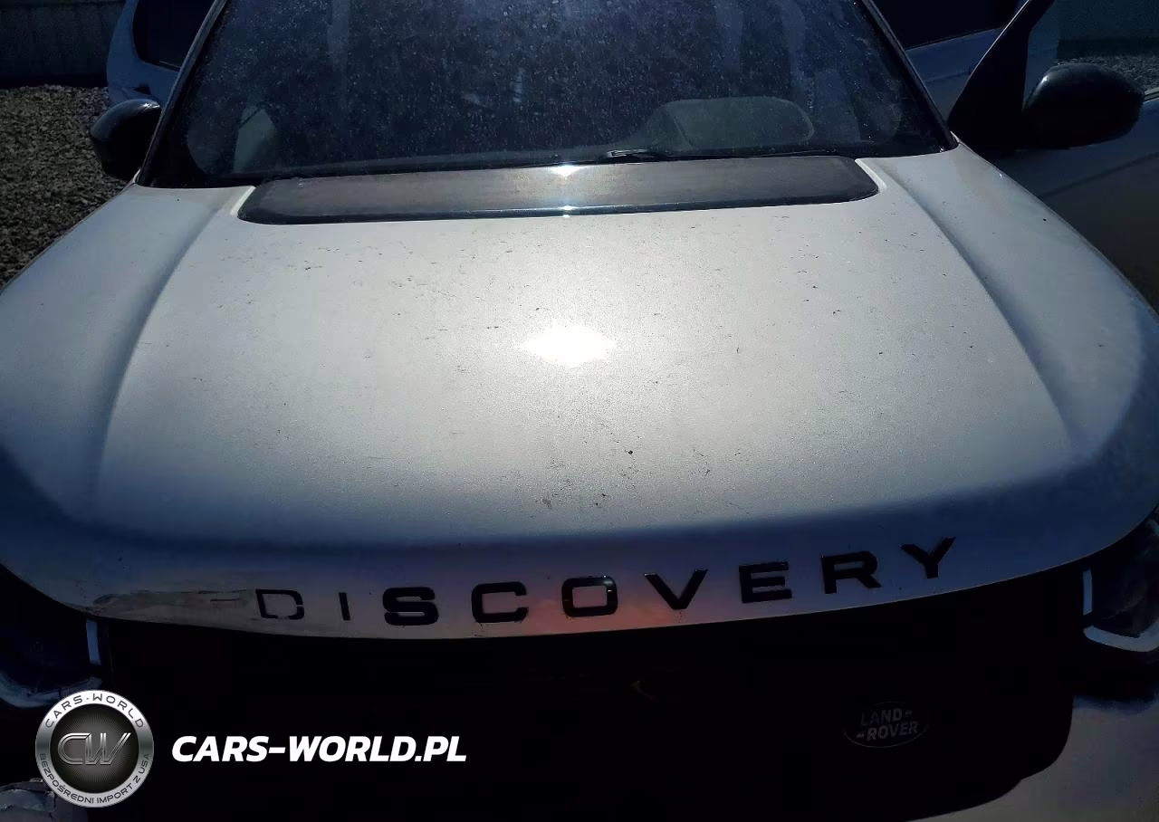 2020 Land Rover Discovery VIN:SALCJ2FX1LH859302 - 12
