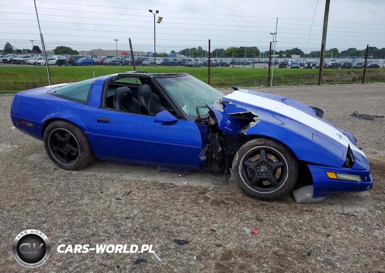 1996 Chevrolet Corvette VIN:1G1YY2255T5600416 - 4