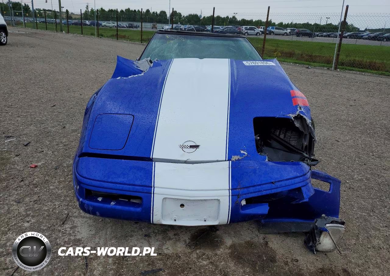 1996 Chevrolet Corvette VIN:1G1YY2255T5600416 - 5