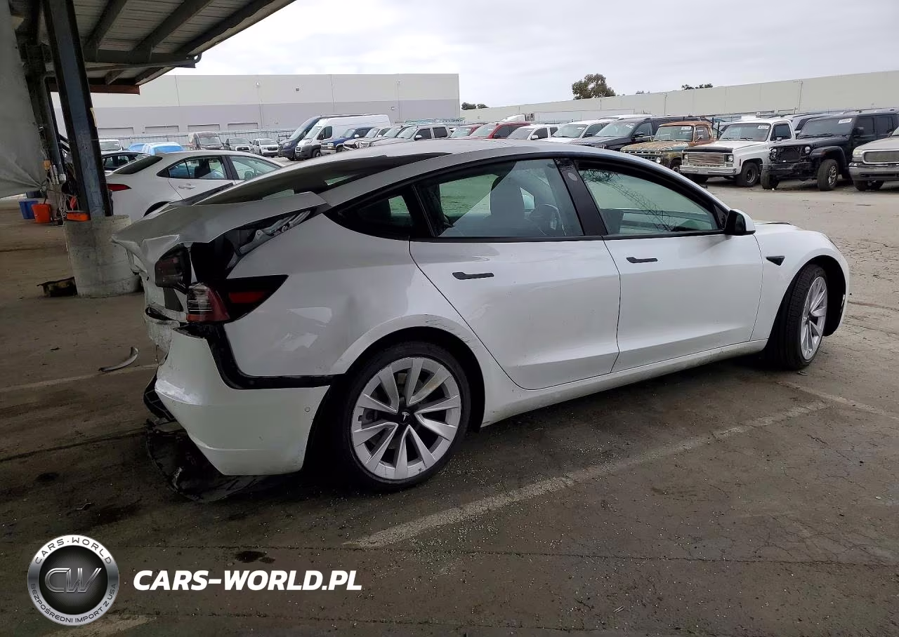 2021 Tesla Model 3 VIN:5YJ3E1EB7MF902246 - 3