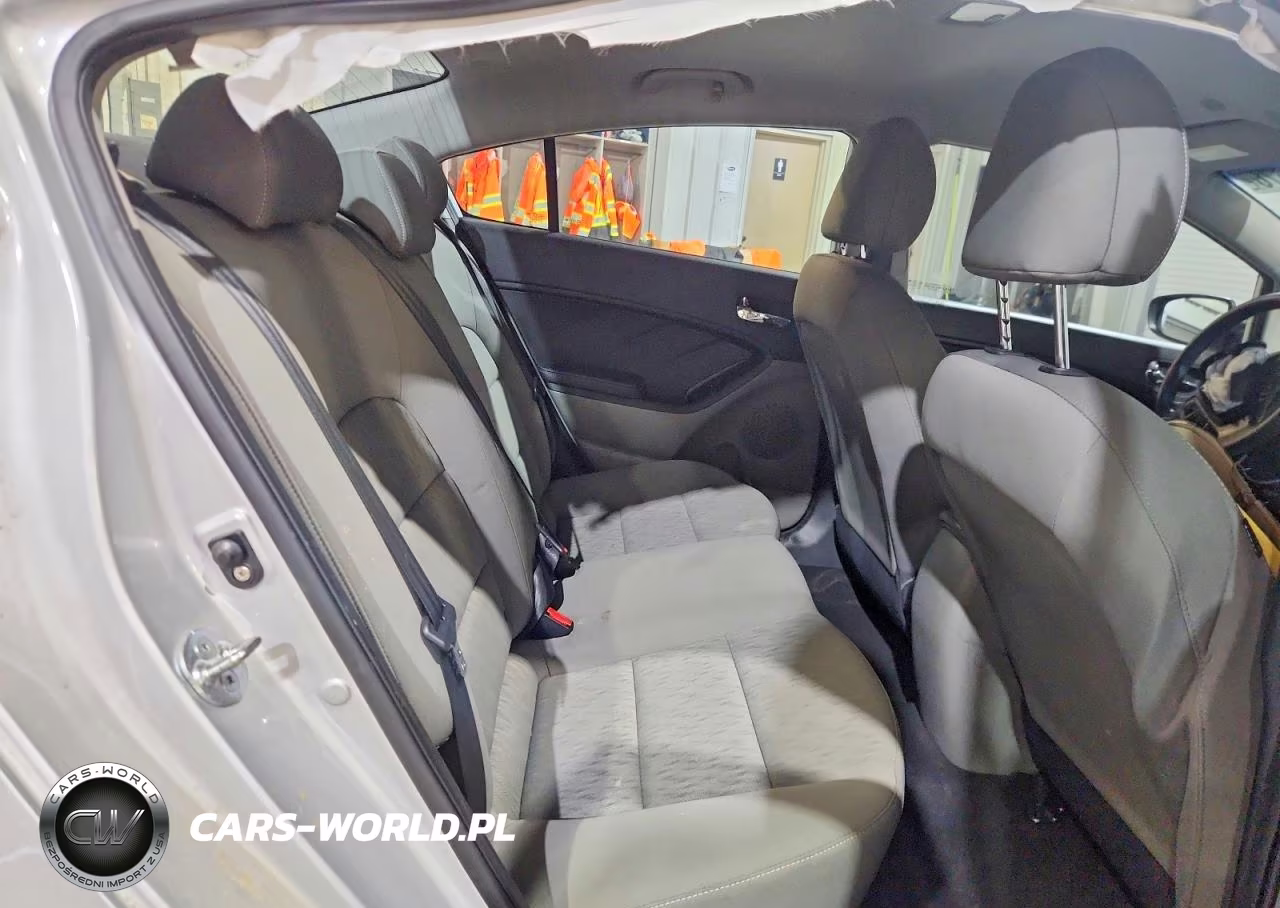 2015 Kia Forte Lx VIN:KNAFK4A60F5436371 - 10