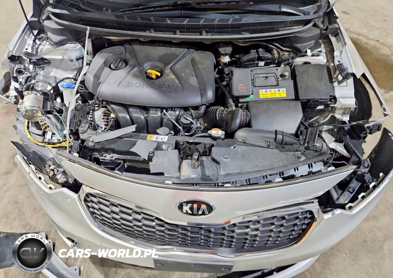 2015 Kia Forte Lx VIN:KNAFK4A60F5436371 - 11