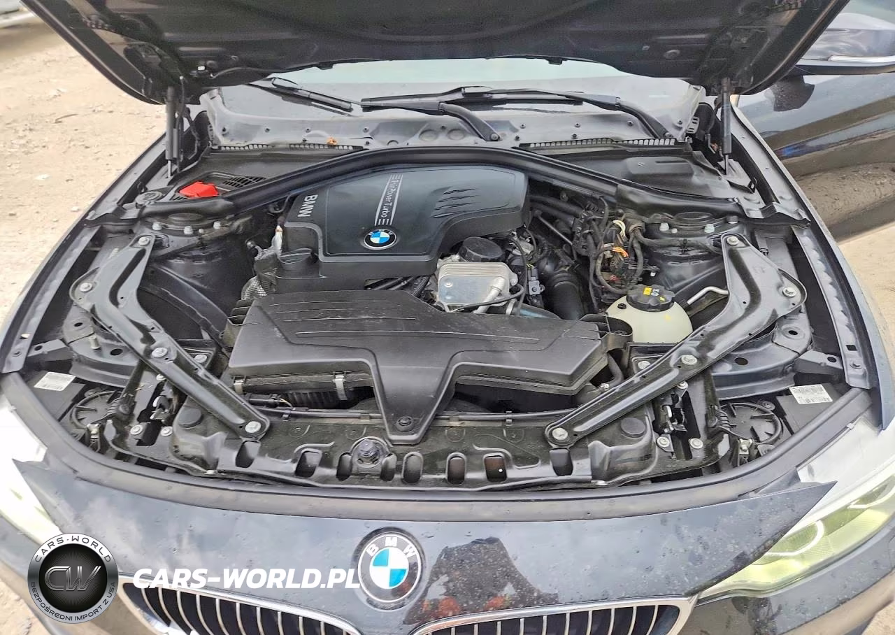 2016 BMW 428 I Sulev VIN:WBA3V7C53G5A26362 - 11