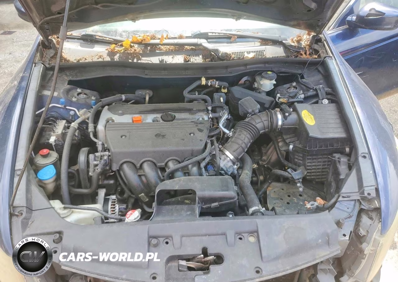 2009 Honda Accord Lxp VIN:1HGCP26469A098491 - 11