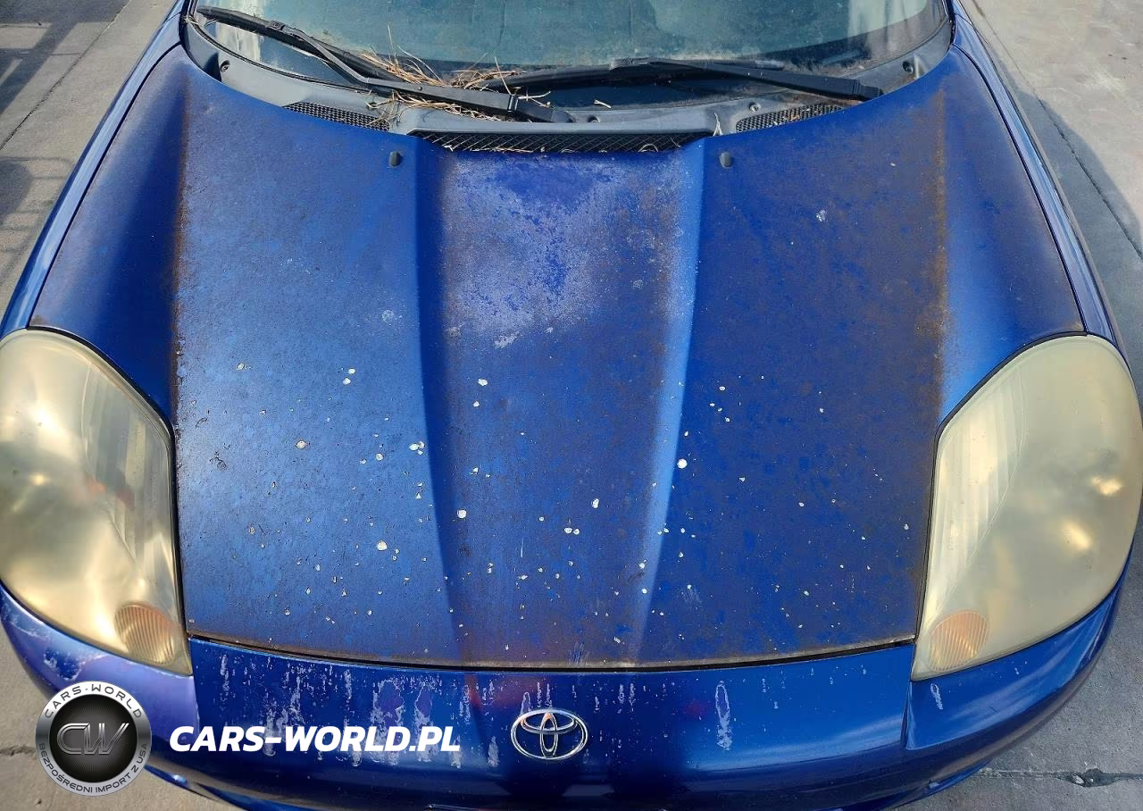 2003 Toyota Mr2 Spyder VIN:JTDFR320830065438 - 11