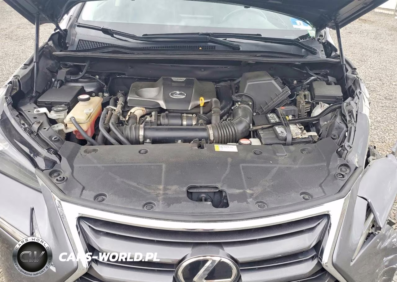 2016 Lexus Nx 200T Base VIN:JTJBARBZ0G2053203 - 12