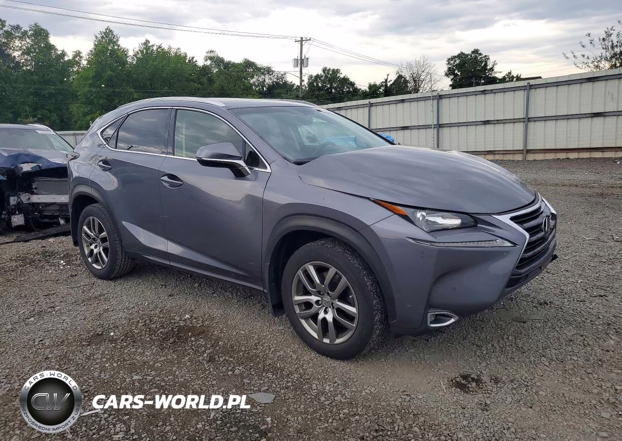 2016 Lexus Nx 200T Base VIN:JTJBARBZ0G2053203 - 4