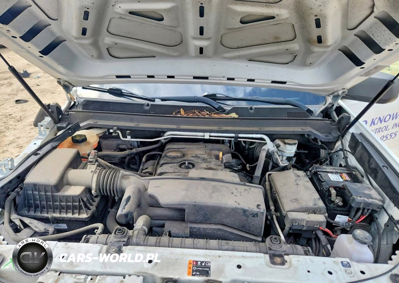 2019 Chevrolet Colorado VIN:1GCHSBEA7K1181458 - 11