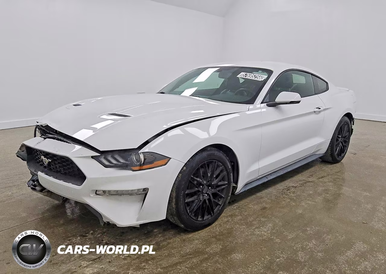 2019 Ford Mustang
