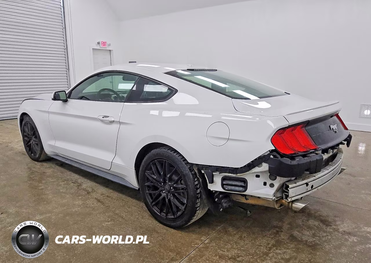 2019 Ford Mustang VIN:1FA6P8TH4K5162134 - 2